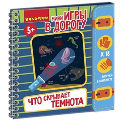 Мини-игры в дорогу для малышей "ЧТО СКРЫВАЕТ ТЕМНОТА" с фонариком из картона Bondibon