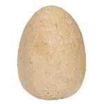 Исторические раскопки Науки с Буки, BONDIBON, Яйцо динозавра(гигантское яйцо с коллекцией динозавров)