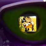 Очки 3D квадратные фиолетовые тм Bondibon, цветные cтереодиапозитивы 2 диска со слайдами животные и динозавры, CRD 24х26,5х7см, арт. 1811.